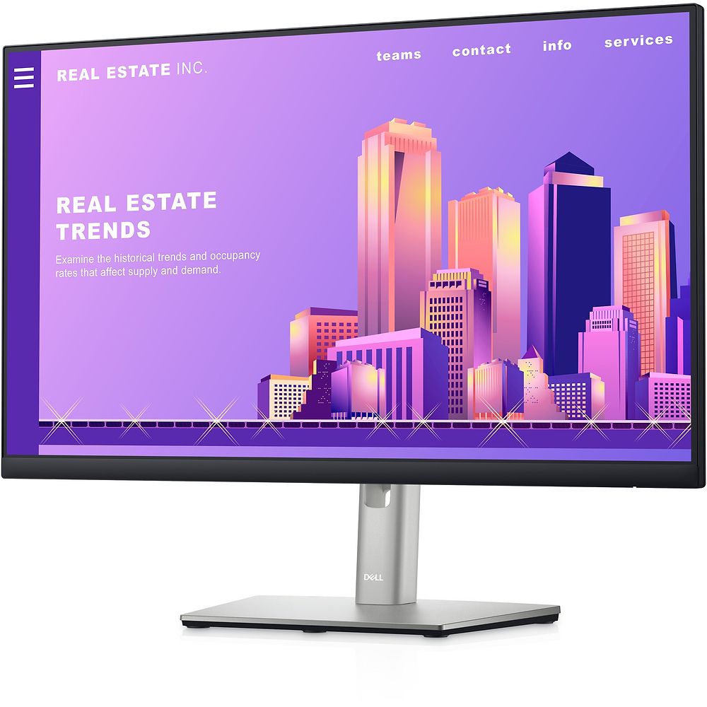 DELL - 24 Monitor P2422H / Black