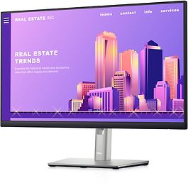 DELL - 24 Monitor P2422H / Black