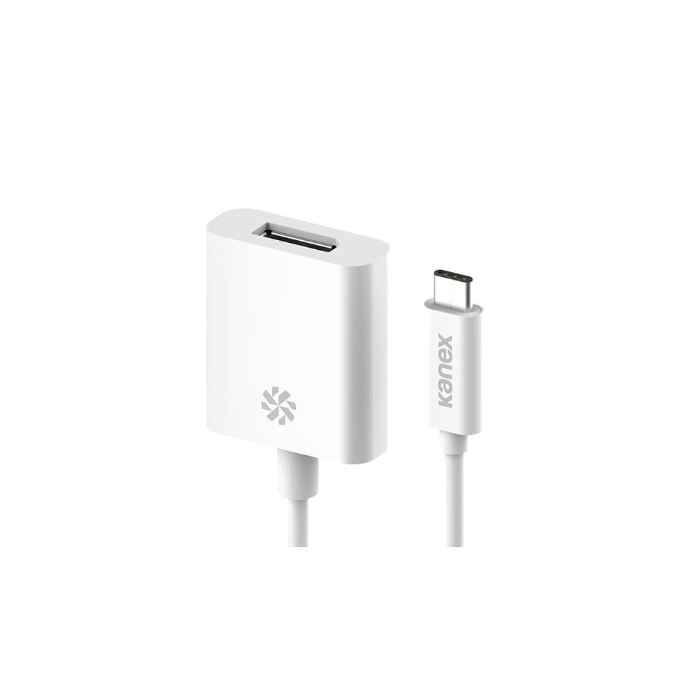 Kanex - USB-C to DisplayPort 4K Adapter / White