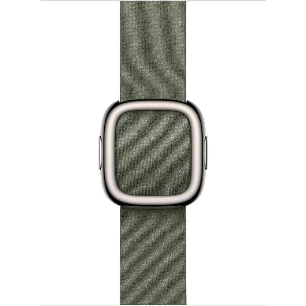 Apple - 42mm Modern Buckle (Large)
