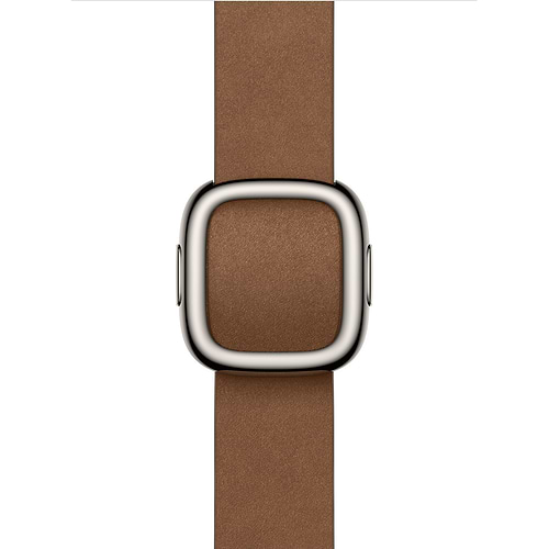 Apple - 42mm Modern Buckle Band (L)