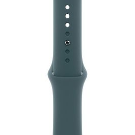 Apple - 42mm Sport Band / Lake Green
