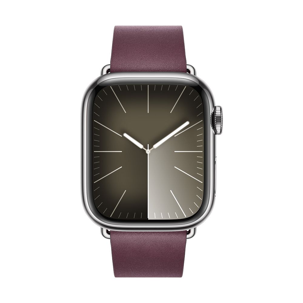 Apple Watch Modern Buckle