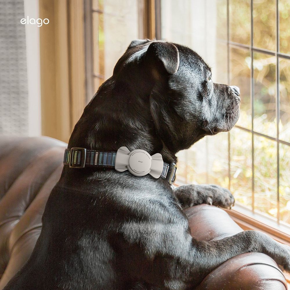 elago - Ribbon Pet Collar AirTag Case