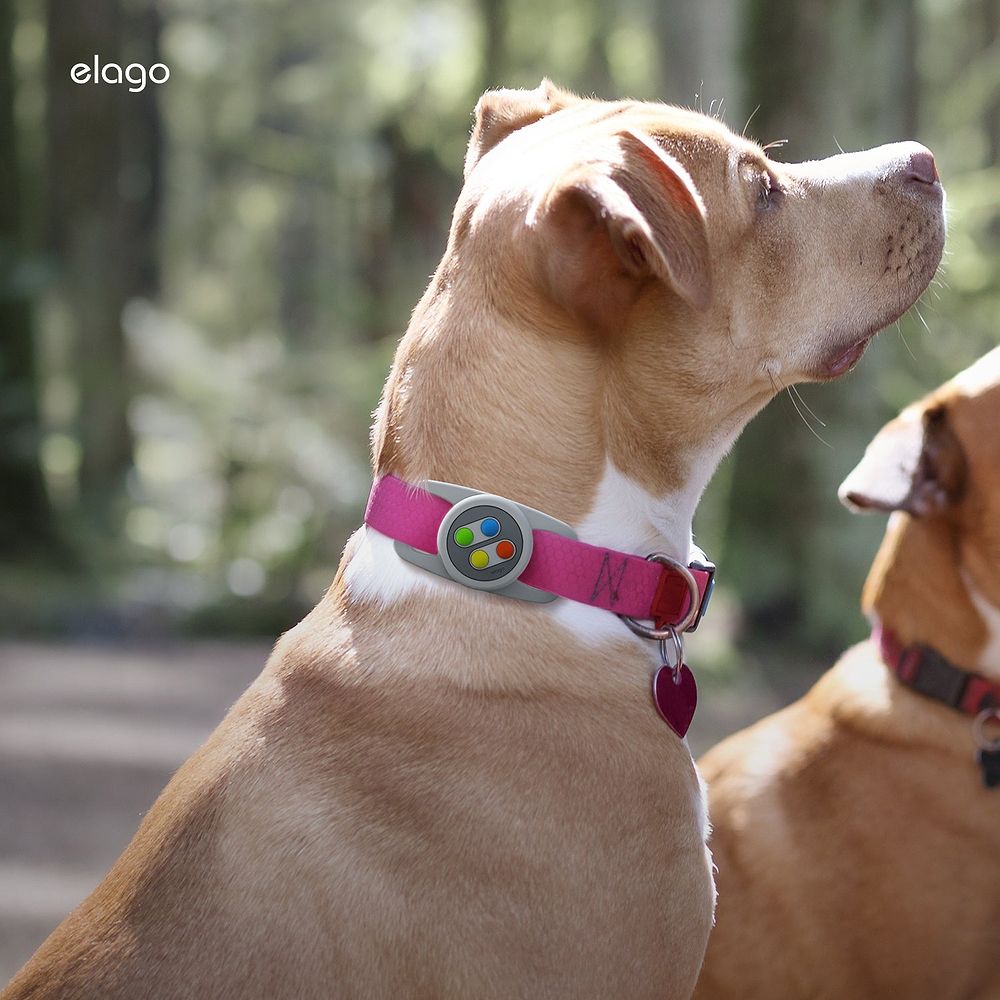 elago - W5 Pet Collar AirTag Case
