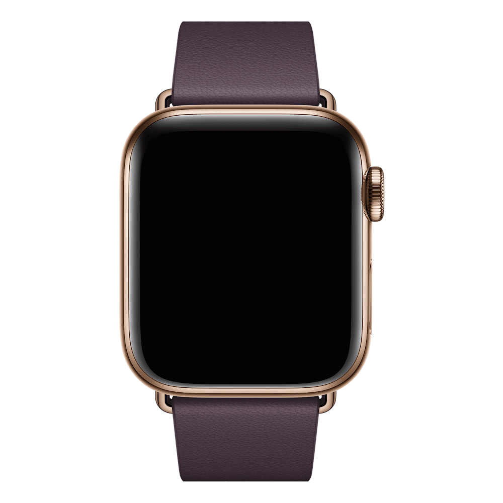 Apple - 40mm Modern Buckle