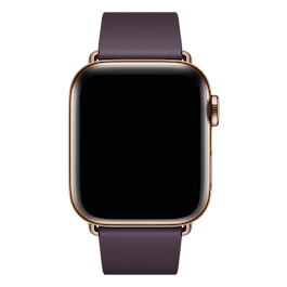 Apple - 40mm Modern Buckle