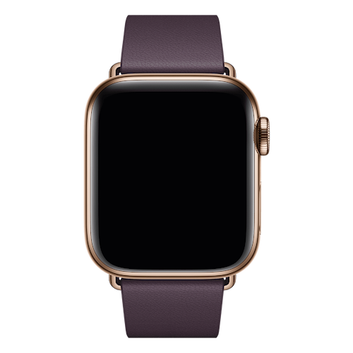 Apple - 40mm Modern Buckle