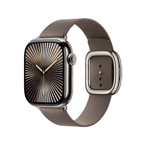 Apple - 42mm Modern Buckle / Dark Taupe