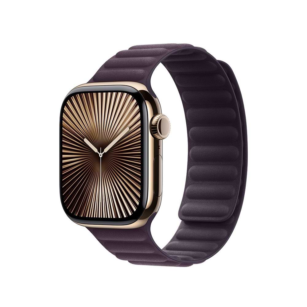 Apple - 42mm Magnetic Link / Blackberry