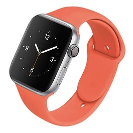 Spirit - 45mm Silicone Band