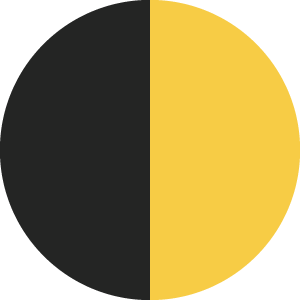 Black/Yellow