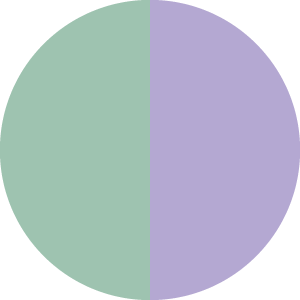 Purple/Mint